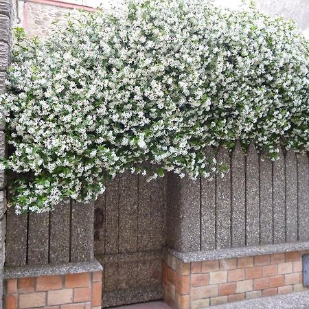 Chambres D'Hotes La Rose Des Vents Ginestas 외부 사진
