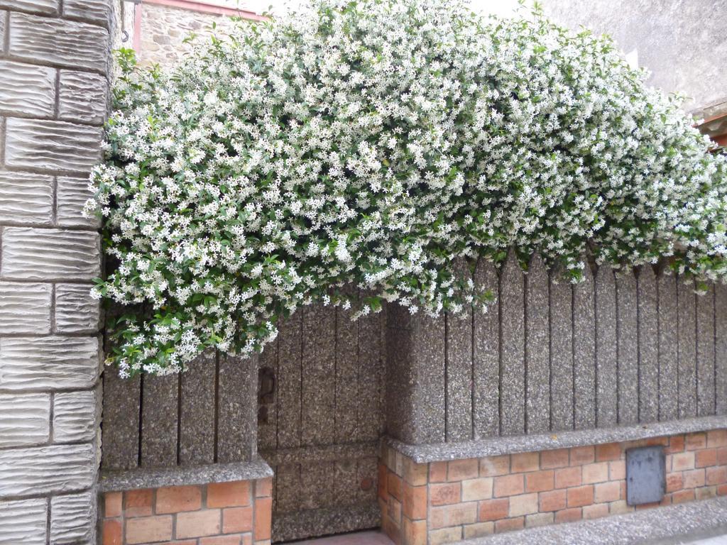 Chambres D'Hotes La Rose Des Vents Ginestas 외부 사진