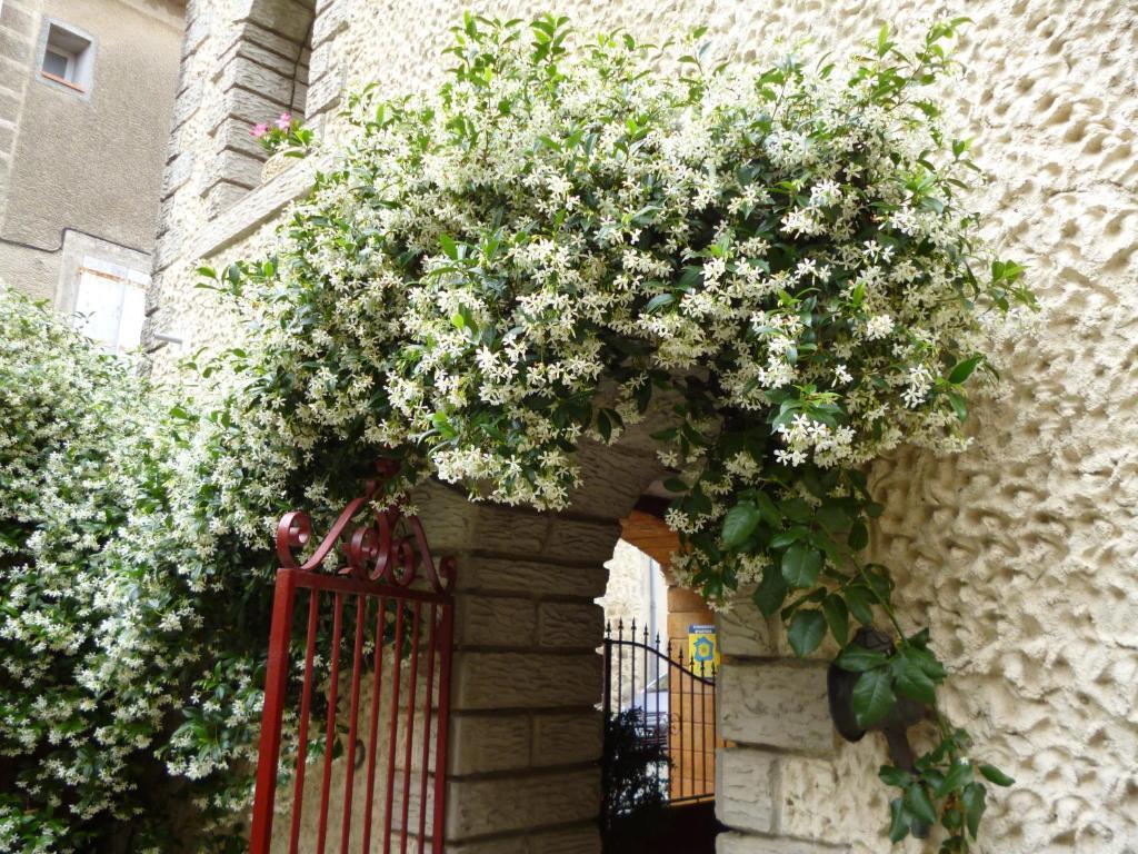 Chambres D'Hotes La Rose Des Vents Ginestas 외부 사진